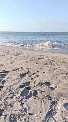 The video opens with a view of a sandy beach with numerous footprints. The ocean is visible in the background, with gentle waves rolling onto the shore under a clear, bright sky. The camera slowly pans to the right, revealing a person or animal in the water in the distance. The person or animal appears to be swimming or playing in the ocean. The scene is tranquil and sunny, suggesting a pleasant day at the beach.