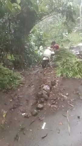 The video shows a man struggling with a scooter on a muddy path. The man is wearing a red shirt and brown shorts. The scooter is white. The path is muddy and covered in leaves and small rocks. There are trees and greenery on either side of the path. The man appears to be pushing or trying to maneuver the scooter through the muddy terrain. The environment suggests a rural or semi-rural setting, possibly after rainfall.