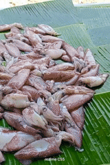 Morning seafood market opens in Lhokseumawe, Indonesia