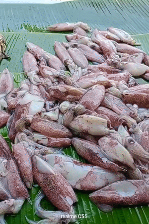Morning seafood market opens in Lhokseumawe, Indonesia