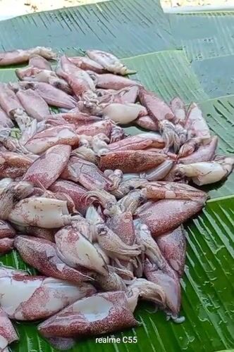 Morning seafood market opens in Lhokseumawe, Indonesia