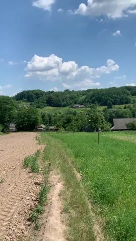 This video captures a rural landscape in Zamostia, Ukraine, on a bright, sunny day. The scene is dominated by a vast, cultivated field of brown, tilled soil on the left, juxtaposed with a vibrant, green field of tall grass and wildflowers on the right. A dirt path runs between the two fields, leading the viewer's eye into the distance.

Beyond the fields, a lush, rolling landscape unfolds, covered in dense green trees. Scattered among the trees are several houses, their roofs visible through the foliage, suggesting a small village or hamlet nestled in the countryside. The sky above is a brilliant blue, dotted with fluffy white clouds, indicative of fair weather. The overall atmosphere is peaceful and serene, evoking a sense of rural tranquility.

The time of day appears to be mid-morning or early afternoon, given the bright sunlight casting distinct shadows. The location cues, such as the specific types of vegetation and the architectural style of the visible houses, point to a European rural setting, consistent with the provided location context of Zamostia, Ukraine. There are no people visible in the video, and the focus is entirely on the natural beauty and pastoral elements of the landscape. The video is a static shot, allowing the viewer to take in the full panorama. No text is visible within the media file.