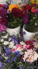 Weekend farmers market draws shoppers in Los Angeles