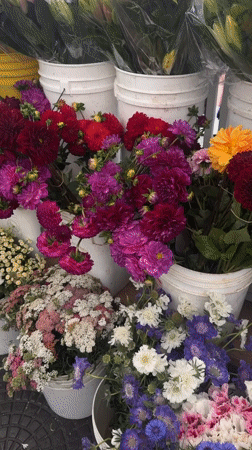Weekend farmers market draws shoppers in Los Angeles