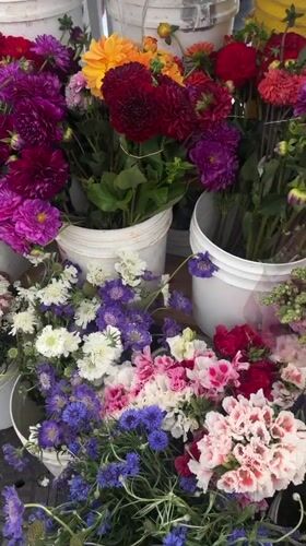 Weekend farmers market draws shoppers in Los Angeles