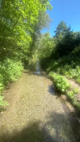 The video presents a sun-drenched, low-angle shot of a shallow stream flowing through a dense green forest. The stream bed is covered in light-colored pebbles, visible through the clear water. The banks are lined with lush green vegetation, including trees and bushes. The sunlight filters through the canopy, creating dappled shadows on the stream bed. The sky is blue, and the overall impression is one of tranquility and natural beauty. There is no visible human presence or activity.