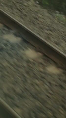 The video shows a close-up, blurry view of train tracks with ballast. The perspective suggests movement, as if from a camera on a moving train. The tracks are made of steel rails laid on concrete sleepers. The ballast, consisting of crushed stone, surrounds the sleepers and fills the space between the tracks. Some dust is kicked up, indicating the train's speed. In the background, greenery is visible, suggesting an outdoor environment.
