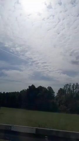A view from a moving vehicle shows a bright, cloudy sky with a contrail from an airplane streaking across it. Below the sky is a dark line of trees, and in front of the trees is a grassy field with a small house and a single tree. A pole with a red and white marker is visible in the foreground.