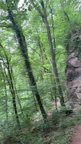 The video shows a narrow dirt path winding through a dense forest. Tall trees with green foliage line the path, some of which are covered in ivy. To the right of the path, a large rock face rises vertically, also heavily draped in ivy. The rock face is rough and uneven, with visible cracks and crevices. Sunlight filters through the leaves, creating dappled light on the path and the surrounding undergrowth. The camera appears to be moving along the path, offering a first-person perspective of the walk.