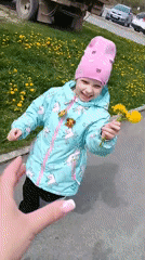 Child plays outdoors, picks dandelions in Tobolsk morning