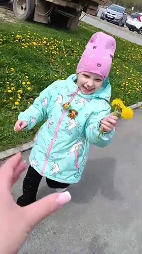 Child plays outdoors, picks dandelions in Tobolsk morning