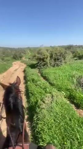 The video shows a first-person perspective of a horseback ride along a dirt path. Two horses are visible, one brown and one dark brown, with riders on their backs. The path is surrounded by green grass and low-lying bushes, under a clear blue sky. The terrain appears slightly hilly in the distance, suggesting a rural or countryside setting.