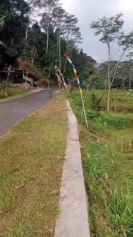 The video shows a roadside view with flags. The road is on the left, with a grassy area to the right. Several flags on poles are visible, with colored stripes. The flags are moving in the wind. The background includes trees and hills. The scene appears to be rural.