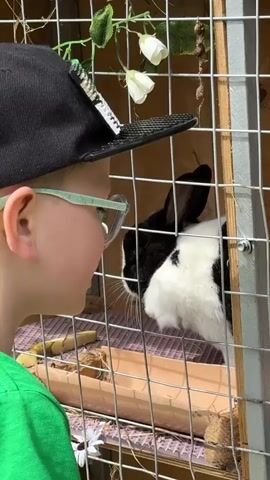 A child wearing a black baseball cap and green-rimmed glasses looks at a black and white rabbit in a cage. The rabbit is facing to the left and appears to be eating from a wooden feeder. The cage has a wire mesh front and a wooden back. There are some artificial flowers and greenery hanging from the top of the cage. The child is wearing a green shirt.
