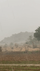 Nigerian communities document farming fields, gardens during rainy season