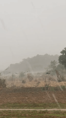 Nigerian communities document farming fields, gardens during rainy season