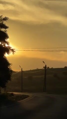 The video captures a serene sunset scene in a rural setting, likely Aleksandrovskoe, Russia. The sun, a brilliant orb of light, dominates the sky, casting a warm, golden glow over the landscape. Its rays pierce through wispy clouds, creating a dramatic and ethereal atmosphere. The time of day is clearly sunset, evidenced by the low angle of the sun and the rich, warm hues illuminating the sky.

The scene unfolds along a winding road, its surface reflecting the sunlight, creating a shimmering effect. The road appears to be asphalt, with a gravelly shoulder on the left. Two streetlights stand along the roadside, their silhouettes stark against the radiant sky. They are modern lampposts, suggesting some level of infrastructure in this rural area. Power lines stretch across the upper part of the frame, further emphasizing the man-made elements within the natural landscape.

On the left side of the road, the silhouette of trees adds a touch of natural beauty, their leaves catching the sunlight. The background features rolling hills, fading into a soft, hazy silhouette due to the atmospheric conditions. The overall mood is tranquil and peaceful, evoking a sense of quiet beauty and the end of a day. The light flares and lens artifacts, particularly a prominent green flare in the lower right quadrant, add a distinct visual quality to the footage, suggesting it was captured with a camera or phone lens. No people are visible in the footage, and there is no visible text.