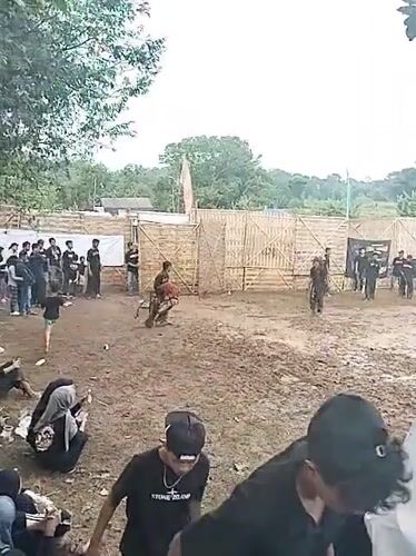 Traditional outdoor event draws crowds in Gentungan, Indonesia