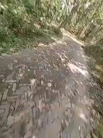 The video shows a group of approximately seven young men walking on a dirt path through a forest. The camera is held by one of the men, providing a selfie perspective. The men are casually dressed, wearing a variety of shirts and jeans. The forest has dense tree cover. The lighting suggests it is daytime. The men are walking in a group, appearing to be enjoying themselves.