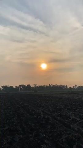 A time-lapse video shows a sunrise over a plowed field. The sun is a bright, luminous orb in the hazy sky. The field is dark and appears freshly tilled, with visible furrows running through it. A line of trees and vegetation forms a distant horizon. The sky is filled with scattered clouds that are illuminated by the rising sun.