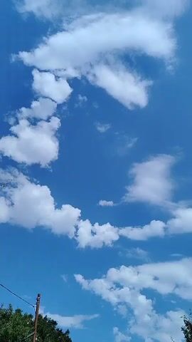 The video shows a bright blue sky with scattered white clouds. The clouds are fluffy and appear to be moving slowly. The bottom of the frame shows the tops of green trees and a utility pole. The overall scene is peaceful and serene.