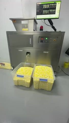 The video shows a pharmaceutical or food processing machine in a cleanroom environment. The machine, made of stainless steel, has a hopper at the top where small, yellow, pill-shaped objects are being fed. These objects then pass through the machine and are dispensed into two large, clear plastic bins situated below it. The bins are nearly full of the same yellow objects. A computer monitor is mounted on an adjustable arm above the machine, displaying what appears to be a quality control interface with multiple image frames. A red alarm light is also visible on top of the machine. The floor is a light grey, and the walls are white, indicating a sterile or controlled environment. There are no people visible in the video. The overall impression is of an automated production process.