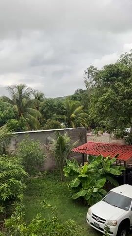 The video shows a view from a slightly elevated position looking towards a tropical landscape. In the foreground, there is a white SUV parked on the right side. Adjacent to it is a structure with a red tiled roof supported by posts, possibly a carport or an outdoor seating area. In the middle ground, a low, light-colored brick wall runs horizontally across the frame, with some vegetation growing on top and in front of it. A satellite dish is attached to the wall. Banana plants with large leaves are visible behind the wall. Beyond the wall, a dense canopy of various trees, including palm trees with their characteristic fronds, dominates the scene. The background consists of a hilly, tree-covered landscape under a cloudy, overcast sky, suggesting a potentially rainy or humid day. The overall impression is a residential area nestled within a lush, green environment.