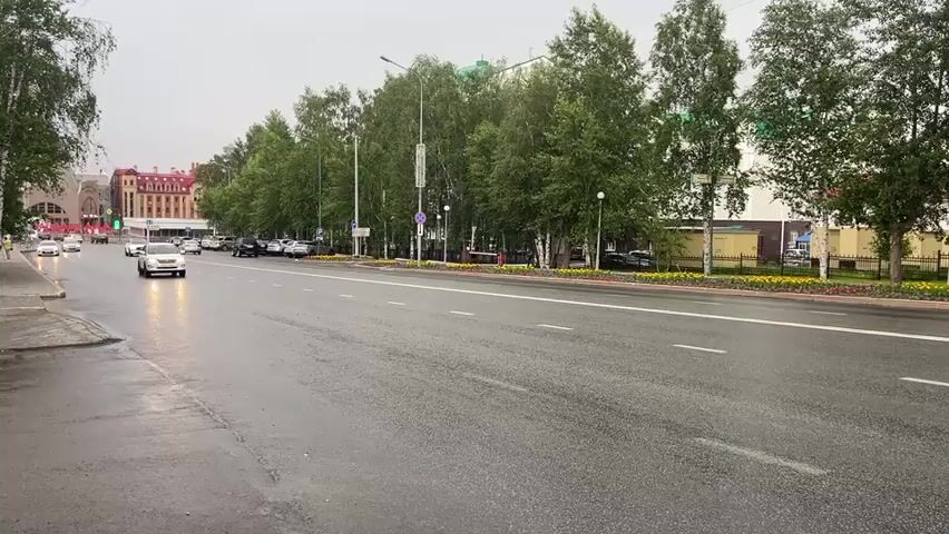 This media file captures a street scene in Khanty-Mansiysk, Russia. The primary subjects are a wet asphalt road and several cars driving on it. A white SUV is prominently featured, moving from left to right across the frame. In the background, a row of lush green trees lines the side of the road, with buildings visible beyond the trees, including one with a red brick facade. The weather appears overcast and damp, indicated by the wet road and the general muted lighting, suggesting it might be a rainy or recently rained-on day, possibly early morning or late afternoon given the diffused light. The setting is urban, with a sidewalk on the left side of the road and a landscaped median or divider with flowers on the right. There are streetlights and utility poles visible. No people are clearly depicted, and the emotional tone is neutral, focused on the everyday activity of traffic on a city street. No visible text is discernible in the media.