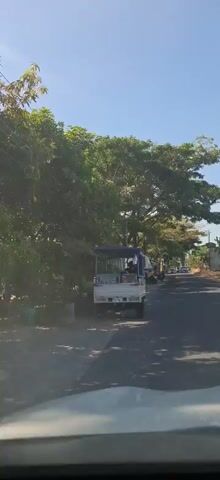 The video shows a white utility vehicle parked on the side of a road lined with trees. A person, wearing a dark t-shirt, is standing and appears to be working at the back of the vehicle. The vehicle has a blue canopy over the back and a display case with items inside. There are other vehicles and structures visible further down the road. The lighting suggests it is daytime with clear skies.