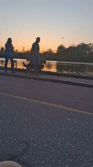 Evening strolls captured along Plovdiv waterfront promenade at sunset