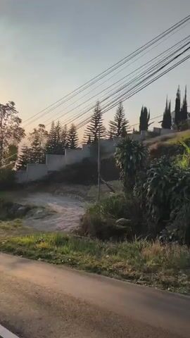 The video shows a view from a moving vehicle. On the right side of the screen, there is a paved road with a white line marking the edge. Tall trees line the road, and the sun is shining brightly, casting long shadows and lens flare. In the background, there is a building with a dome, possibly a church or a temple, situated on a hill. The hill is covered with grass and shrubs, and there are power lines running overhead. Further down the road, two motorcycles can be seen in the distance. The sky is a pale yellow, indicating either sunrise or sunset. The overall scenery suggests a rural or suburban setting.