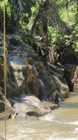 Turbulent river flows through Indonesian gorge amid tropical scenery