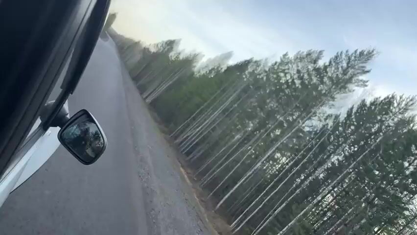 The video depicts a view from inside a vehicle moving along an asphalt road lined with a dense forest. The camera is positioned to the side, capturing the road and the trees through the car's side mirror. The trees appear tall and closely packed, with both evergreen and deciduous varieties visible. The sky is overcast, suggesting either an early morning or late afternoon lighting. The overall impression is a car journey through a wooded area on a relatively gloomy day.
