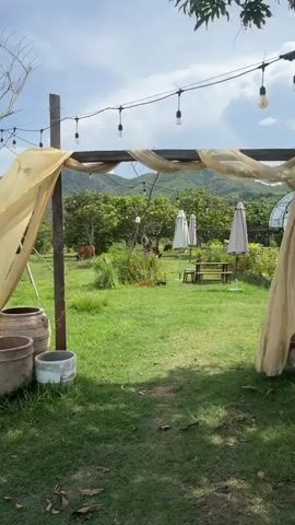 The video captures an outdoor scene featuring a grassy area with several elements suggesting a recreational or dining space. In the foreground, a wooden archway draped with light-colored fabric frames the view. To the left, three large terracotta pots are stacked. Beyond the archway, the scene opens to a lush green lawn dotted with trees. In the middle ground, there are several white and beige umbrellas, a wooden picnic table with benches, and some scattered vegetation. Further in the background, two horses are visible grazing in a field. The landscape is bordered by rolling hills covered in trees under a partly cloudy blue sky. String lights are suspended across the top of the frame.