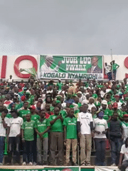Large crowd fills Nairobi stadium in green team colors