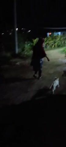 A person wearing a red hijab and a patterned dress walks away from the camera into the night. Two cats follow closely behind the person. The scene appears to be an outdoor walkway next to a building with lights on inside. A motorcycle is parked to the right of the walkway. The ground is covered in grass and dirt. The lighting is dim, suggesting it is nighttime.