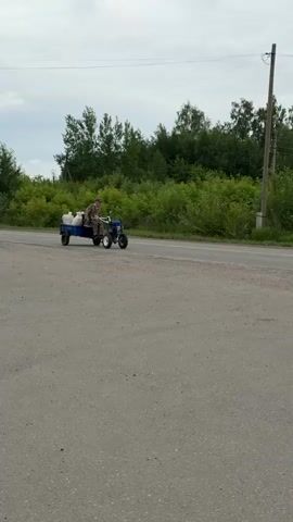 A person in camouflage clothing rides a small blue and white motorized tractor, pulling a blue trailer. The trailer contains several large white sacks. The tractor and trailer are on an asphalt road, with a line of green trees and bushes on the right side of the road. A utility pole stands to the right of the trees. The sky is overcast. The tractor appears to be moving forward, away from the camera.