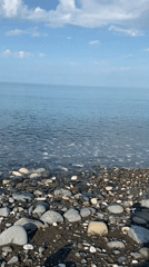 Peaceful morning moments: coastal walks and countryside scenes documented