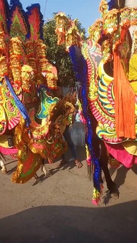 The video shows a street scene, possibly in Indonesia given the presence of Indonesian flags. A procession of people are dressed in elaborate, colorful costumes resembling mythical creatures, likely part of a cultural festival or parade. These costumes are adorned with bright fabrics, sequins, and feathers in vibrant shades of yellow, red, blue, and green, featuring designs reminiscent of peacocks and dragons. Some individuals are carrying these large, decorative figures, while others appear to be participants within the procession. The event is taking place outdoors on a paved street, with buildings and overhead electrical wires visible in the background. The lighting suggests it is daytime, with a clear sky. The perspective of the video is from within a vehicle, likely looking out of a side window, as the side mirror of a car is partially visible in the foreground.