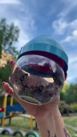 A person's hand, with painted nails, holds a clear glass jar filled with what appears to be several butterflies. The jar has a teal-colored lid. The background is outdoors, featuring a playground with a blue slide and other colorful equipment. Trees and a building are visible in the distance under a cloudy sky. The person's hand has a tattoo of a winged creature on their forearm. The video appears to be taken during the daytime.