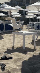 Seagulls taking over a Sozopol beach on a summer afternoon
