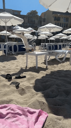 Seagulls taking over a Sozopol beach on a summer afternoon