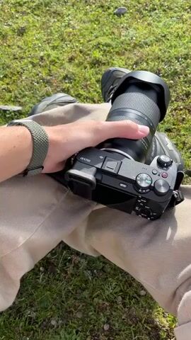 The video begins with a close-up shot of a person's hand holding a camera, resting on their lap. The camera is a black Sony model with a lens attached. The person is wearing a watch on their wrist and khaki pants. The background shows a grassy area. The scene then transitions to a wider shot of a grassy field under a bright, cloudy sky. In the foreground, a deer with antlers is lying down. In the middle ground, several brown, shaggy animals, likely Highland cattle, are grazing. The background consists of a lush, dark green forest. The overall environment appears to be a natural, outdoor setting, possibly a park or a wildlife reserve, with sunlight filtering through the clouds. The video captures a serene moment in nature, showcasing wildlife in a peaceful setting.