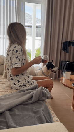 Lazy morning in Thailand with a dog and a warm drink