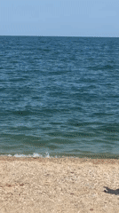Summer beach day documented at Nea Vrasna Greece