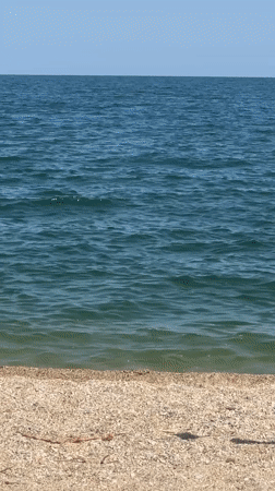 Summer beach day documented at Nea Vrasna Greece