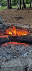 Family camping trip documented in Montenegro forest areas