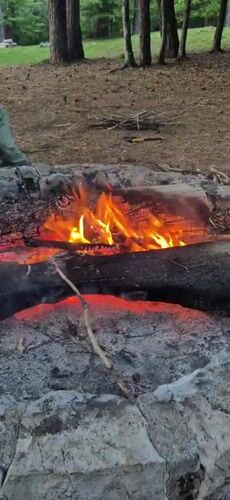 Family camping trip documented in Montenegro forest areas