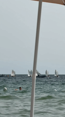 Alghero beach buzzing on a clear summer afternoon