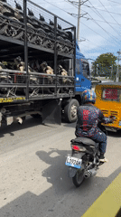 Morning street life documented across Davao City Philippines